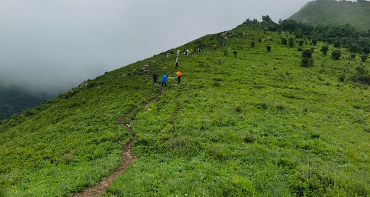 【北京100公里山野·西南灵站】17公里徒步+中高级难度+漫步高山草甸+野花漫山遍野 体弱/新人/小白勿报