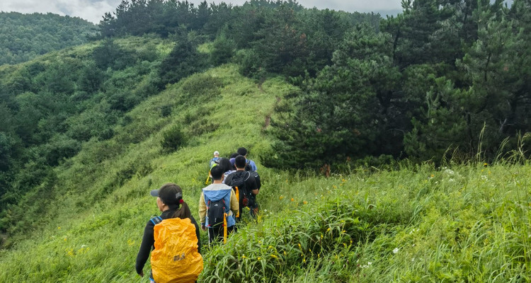 【北京100公里山野·西南灵站】17公里徒步+中高级难度+漫步高山草甸+野花漫山遍野 体弱/新人/小白勿报