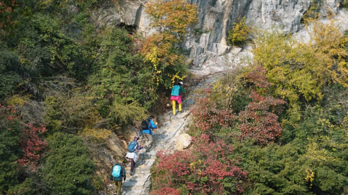 【三峡漫行5日】宜昌+文峰观（红叶落日）+三峡龙脊+巫山+三峡之巅徒步（11km）+天音神道+夔门+瞿塘峡白帝城+神女天路+瑶台飞凤峰+南津关大峡谷徒步+ 赏三峡红叶16人精品团