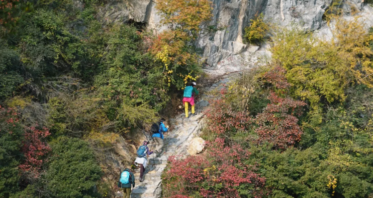 【三峡漫行5日】宜昌+文峰观（红叶落日）+三峡龙脊+巫山+三峡之巅徒步（11km）+天音神道+夔门+瞿塘峡白帝城+神女天路+瑶台飞凤峰+南津关大峡谷徒步+ 赏三峡红叶16人精品团