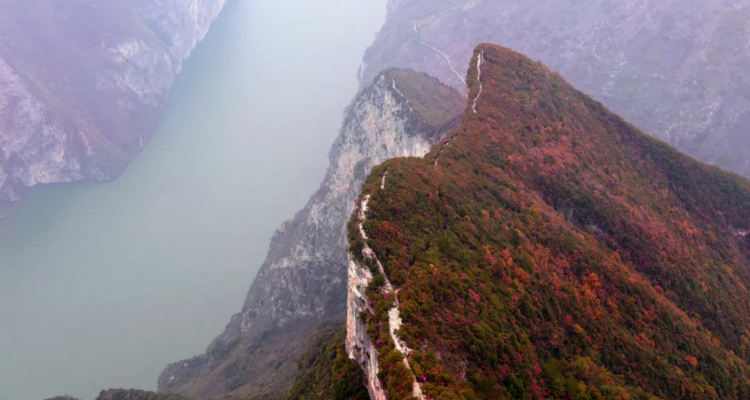 【三峡漫行5日】宜昌+文峰观（红叶落日）+三峡龙脊+巫山+三峡之巅徒步（11km）+天音神道+夔门+瞿塘峡白帝城+神女天路+瑶台飞凤峰+南津关大峡谷徒步+ 赏三峡红叶16人精品团