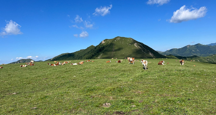 【北京一周一山·白谷查山】中级丨13公里丨去不了阿勒泰就来“天马草原”白谷查山+徒步治愈系山脊草甸+行走在云海仙境~