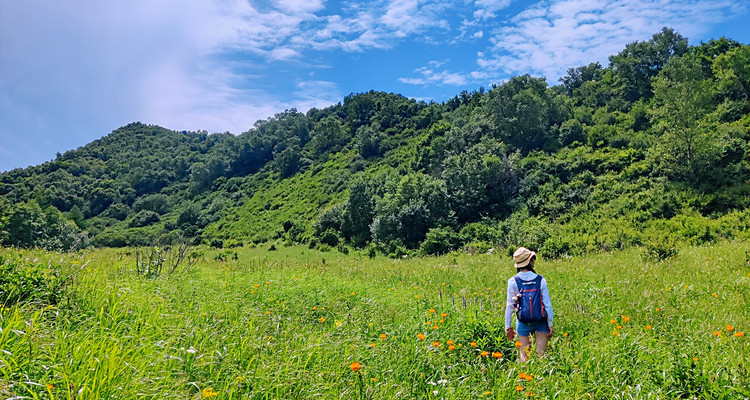 【北京一周一山·秋林铺】中级丨15公里丨徒步穿越秋林铺-百草畔-百花山+赏白桦林与高山草甸美景~
