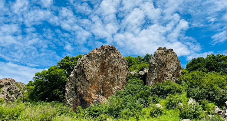 【北京一周一山·秋林铺】中级丨15公里丨徒步穿越秋林铺-百草畔-百花山+赏白桦林与高山草甸美景~