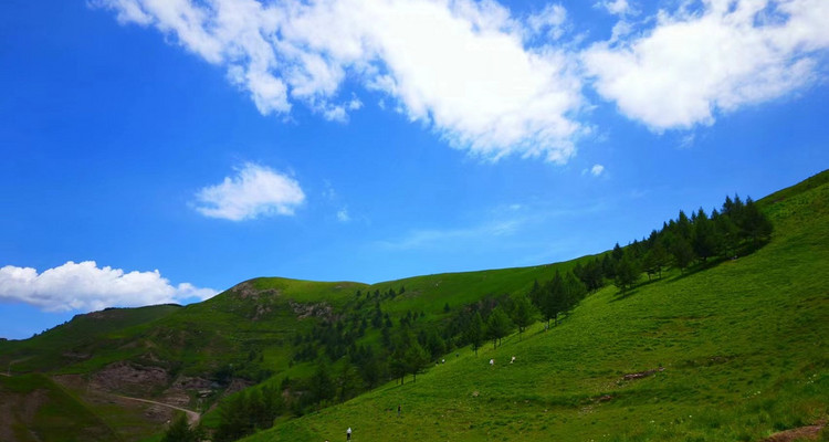 【北京一周一山·饮牛渠】初级丨15公里丨打卡绝美高山草甸+牛羊成群+漫步原生态森林氧吧！