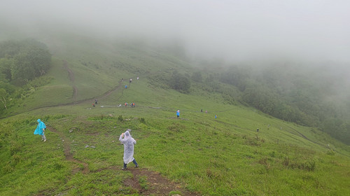 【北京一周一山·饮牛渠】初级丨15公里丨打卡绝美高山草甸+牛羊成群+漫步原生态森林氧吧！