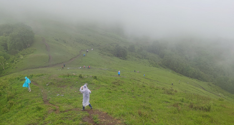 【北京一周一山·饮牛渠】初级丨15公里丨打卡绝美高山草甸+牛羊成群+漫步原生态森林氧吧！