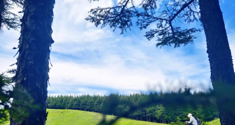 【北京一周一山·饮牛渠】初级丨15公里丨打卡绝美高山草甸+牛羊成群+漫步原生态森林氧吧！