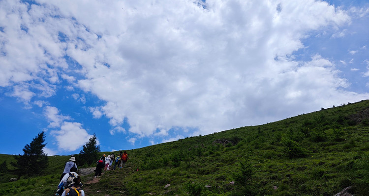 【北京一周一山·饮牛渠】初级丨15公里丨打卡绝美高山草甸+牛羊成群+漫步原生态森林氧吧！