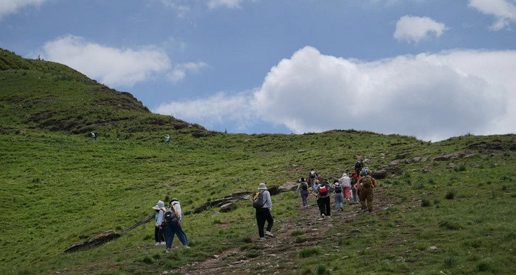 【北京一周一山·饮牛渠】初级丨15公里丨打卡绝美高山草甸+牛羊成群+漫步原生态森林氧吧！