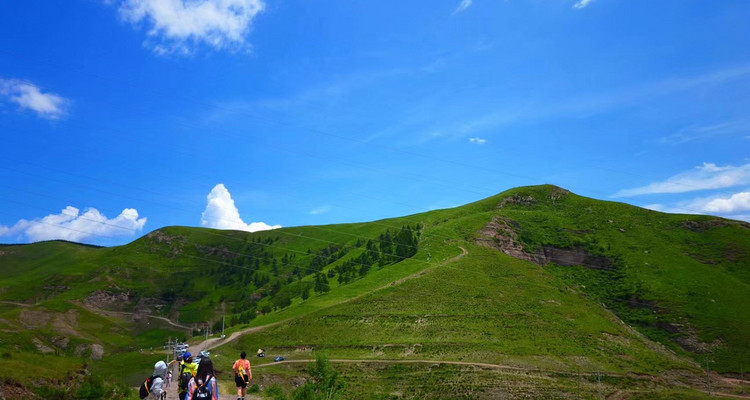 【北京一周一山·饮牛渠】初级丨15公里丨打卡绝美高山草甸+牛羊成群+漫步原生态森林氧吧！