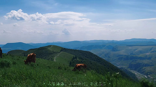 【北京一周一山·饮牛渠】初级丨15公里丨打卡绝美高山草甸+牛羊成群+漫步原生态森林氧吧！