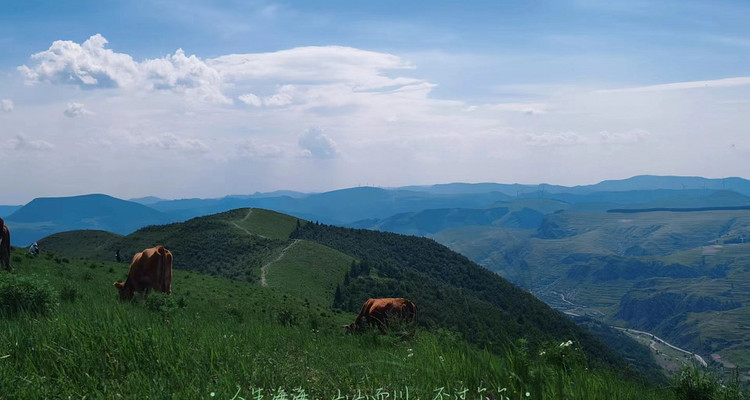 【北京一周一山·饮牛渠】初级丨15公里丨打卡绝美高山草甸+牛羊成群+漫步原生态森林氧吧！