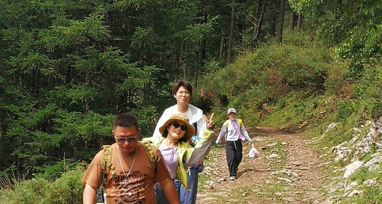 【北京一周一山·饮牛渠】初级丨15公里丨打卡绝美高山草甸+牛羊成群+漫步原生态森林氧吧！