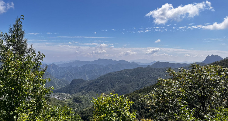 【北京一周一山·秋林铺】中级丨15公里丨徒步穿越秋林铺-百草畔-百花山+赏白桦林与高山草甸美景~