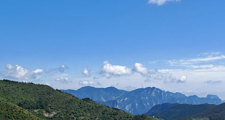 【北京一周一山·秋林铺】中级丨15公里丨徒步穿越秋林铺-百草畔-百花山+赏白桦林与高山草甸美景~