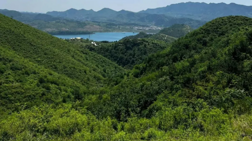 【北京一周一山·歪顶坨】休闲丨7公里丨探索蓟州之美+打卡北方小武功山+俯瞰环秀湖~