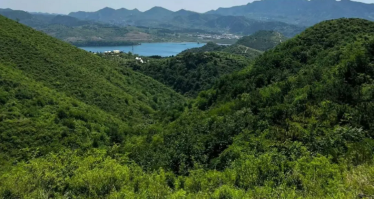 【北京一周一山·歪顶坨】休闲丨7公里丨探索蓟州之美+打卡北方小武功山+俯瞰环秀湖~