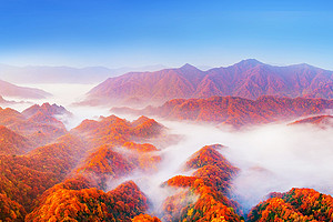 【光雾山旅拍·秦巴秋色8日】西安+太洋公路+黄柏塬+黎平国家森林公园+十八月潭+光雾山+米仓山+香炉山+龙头山+太子岭+狮子沟牧场+情人谷+张良庙+高江路+千年银杏+摄影师领队+无人机航拍+12人旅拍团&2-12人小包团