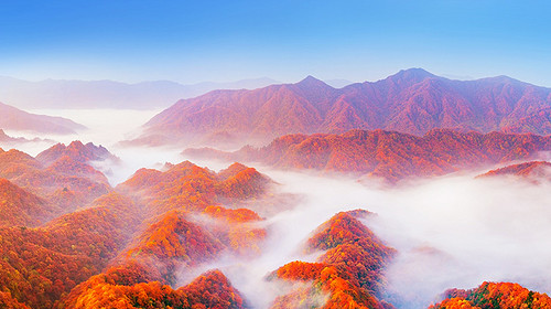 【遇见光雾山·深度摄影7日】光雾山+米仓山+十八月潭+黎坪国家森林公园+天然画廊+香炉山云海+黑熊沟+大小兰沟+龙头山云海+太洋公路+紫柏山国家森林公园+随队摄影师跟拍+无人机航拍+汉中四钻酒店+金牌10人旅拍团