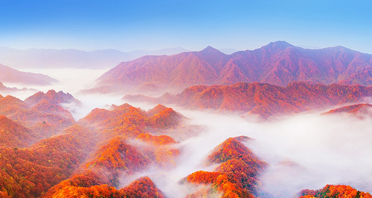 【遇见光雾山·深度摄影7日】光雾山+米仓山+十八月潭+黎坪国家森林公园+天然画廊+香炉山云海+黑熊沟+大小兰沟+龙头山云海+太洋公路+紫柏山国家森林公园+随队摄影师跟拍+无人机航拍+汉中四钻酒店+金牌10人旅拍团
