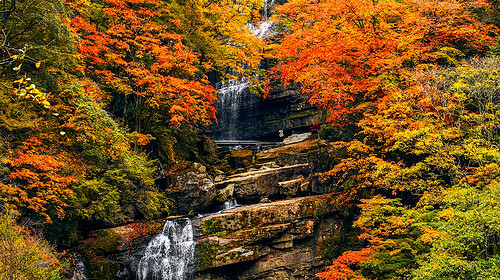 【遇见光雾山·深度摄影7日】光雾山+米仓山+十八月潭+黎坪国家森林公园+天然画廊+香炉山云海+黑熊沟+大小兰沟+龙头山云海+太洋公路+紫柏山国家森林公园+随队摄影师跟拍+无人机航拍+汉中四钻酒店+金牌10人旅拍团