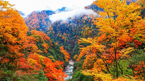 【遇见光雾山·深度摄影7日】光雾山+米仓山+十八月潭+黎坪国家森林公园+天然画廊+香炉山云海+黑熊沟+大小兰沟+龙头山云海+太洋公路+紫柏山国家森林公园+随队摄影师跟拍+无人机航拍+汉中四钻酒店+金牌10人旅拍团