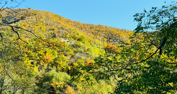 【北京一周一山·北灵山】初级丨10公里丨打卡京郊”阿勒泰“+踏浪高山草甸+邂逅云海+开启狂欢派对~