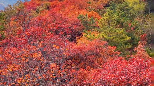 【北京一周一山·金海湖】休闲丨8公里徒步丨一半湖水一半山+俯瞰金海湖+赏绝美湖光山色