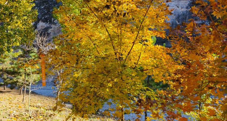 【北京一周一山·白瀑寺】初级丨12公里丨深山访古寺+打卡辽代魔幻寺庙