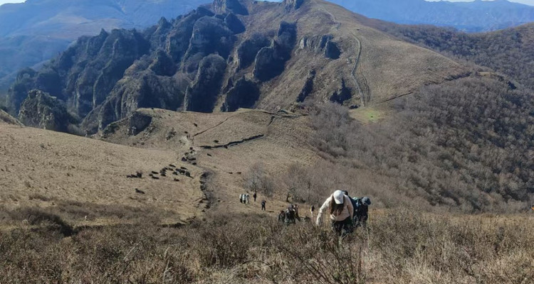 【北京一周一山·北灵山】初级丨10公里丨打卡京郊”阿勒泰“+踏浪高山草甸+邂逅云海+开启狂欢派对~
