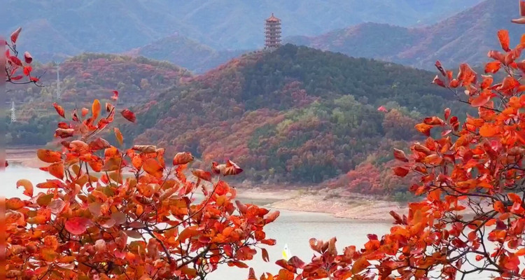 【北京一周一山·金海湖】休闲丨8公里徒步丨一半湖水一半山+俯瞰金海湖+赏绝美湖光山色