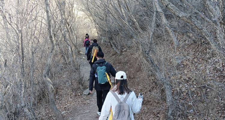 【北京一周一山·北灵山】初级丨10公里丨打卡京郊”阿勒泰“+踏浪高山草甸+邂逅云海+开启狂欢派对~