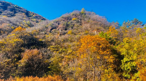 【北京一周一山·白瀑寺】初级丨12公里丨深山访古寺+打卡辽代魔幻寺庙