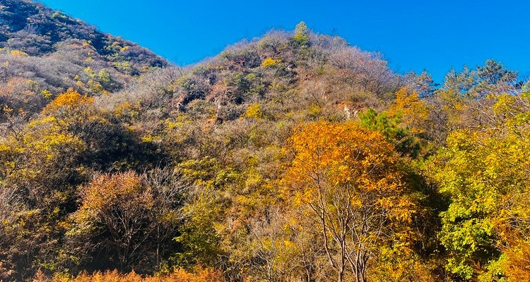 【北京一周一山·白瀑寺】初级丨12公里丨深山访古寺+打卡辽代魔幻寺庙
