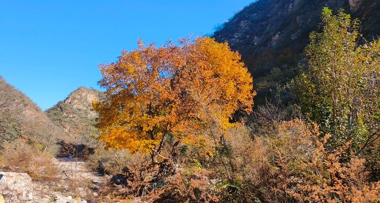 【北京一周一山·白瀑寺】初级丨12公里丨深山访古寺+打卡辽代魔幻寺庙