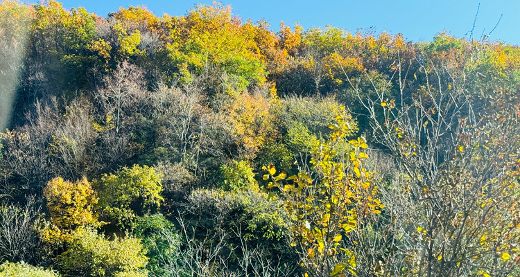 【北京一周一山·北灵山】初级丨10公里丨打卡京郊”阿勒泰“+踏浪高山草甸+邂逅云海+开启狂欢派对~