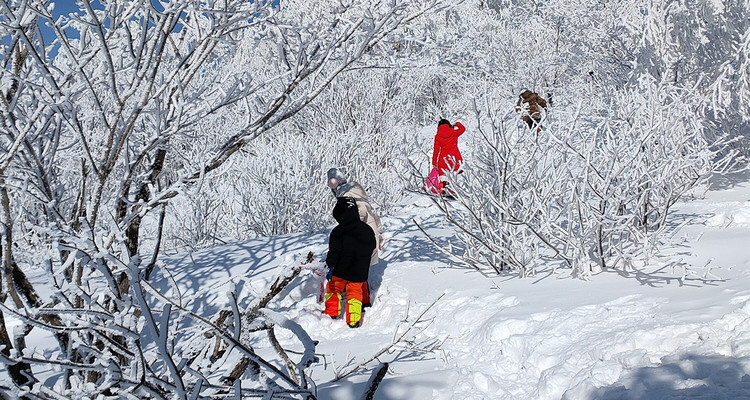 【冰雪梦幻A线7日·8人精品小团】长白山+雪乡+梦幻雪山+延吉+温泉+漂流+冬捕+雪圈+滑雪+雾凇+深度体验+冰雪狂欢