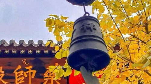 【北京一周一山·白瀑寺】初级丨12公里丨深山访古寺+打卡辽代魔幻寺庙
