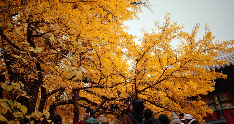 【北京一周一山·红螺寺】休闲级丨8公里丨京北巨刹千年古寺+登高祈福+徒步雁栖湖西山步道+俯瞰雁栖湖全景
