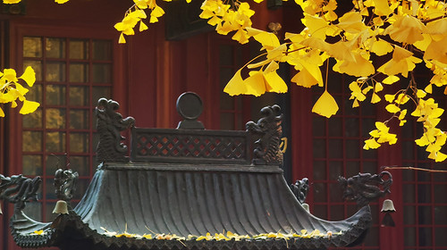 【北京一周一山·红螺寺】休闲级丨8公里丨京北巨刹千年古寺+登高祈福+徒步雁栖湖西山步道+俯瞰雁栖湖全景