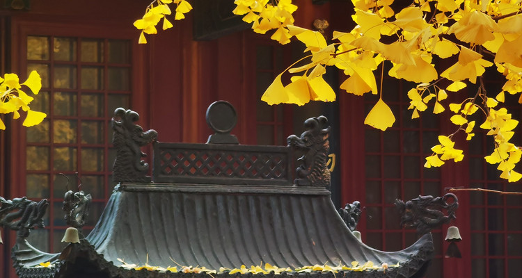 【北京一周一山·红螺寺】休闲级丨8公里丨京北巨刹千年古寺+登高祈福+徒步雁栖湖西山步道+俯瞰雁栖湖全景