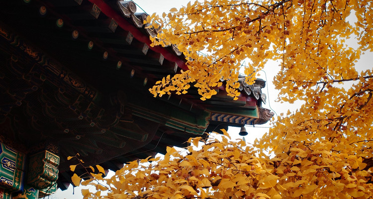 【北京一周一山·红螺寺】休闲级丨8公里丨京北巨刹千年古寺+登高祈福+徒步雁栖湖西山步道+俯瞰雁栖湖全景