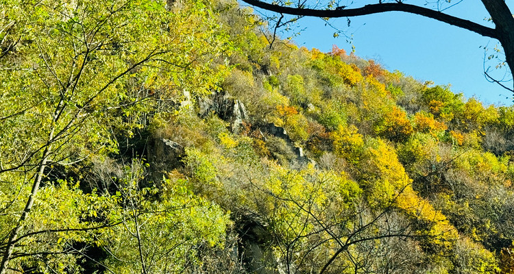 【北京一周一山·北灵山】初级丨10公里丨打卡京郊”阿勒泰“+踏浪高山草甸+邂逅云海+开启狂欢派对~