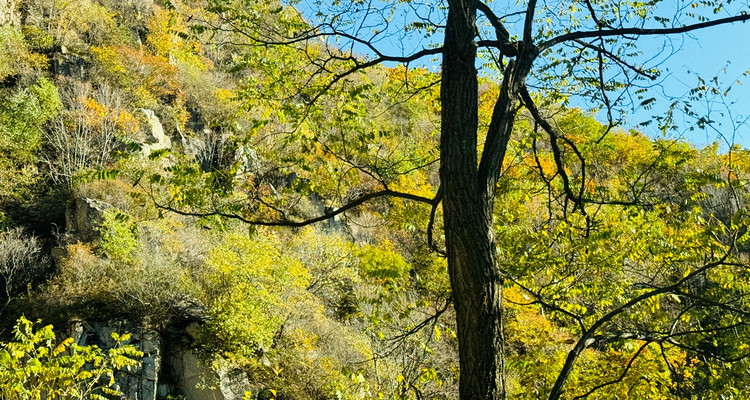 【北京一周一山·北灵山】初级丨10公里丨打卡京郊”阿勒泰“+踏浪高山草甸+邂逅云海+开启狂欢派对~