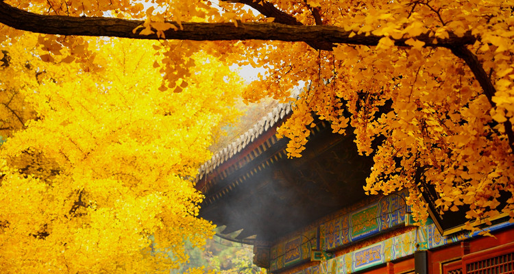 【北京一周一山·红螺寺】休闲级丨8公里丨京北巨刹千年古寺+登高祈福+徒步雁栖湖西山步道+俯瞰雁栖湖全景