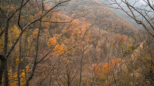 【北京一周一山·石虎线】初级丨10公里徒步丨漫步小众原生态山谷+赏秋摘野果