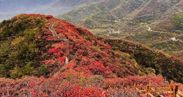 【北京一周一山·水峪村】休闲级丨8公里丨京郊徒步赏红叶+行摄漫山遍野的秋日美景+感受古村的秋日魅力！