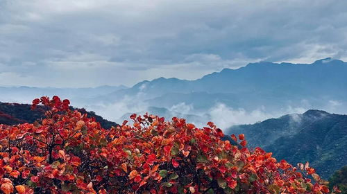 【北京一周一山·水峪村】休闲级丨8公里丨京郊徒步赏红叶+行摄漫山遍野的秋日美景+感受古村的秋日魅力！