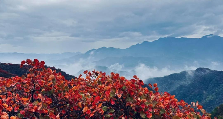 【北京一周一山·水峪村】休闲级丨8公里丨京郊徒步赏红叶+行摄漫山遍野的秋日美景+感受古村的秋日魅力！
